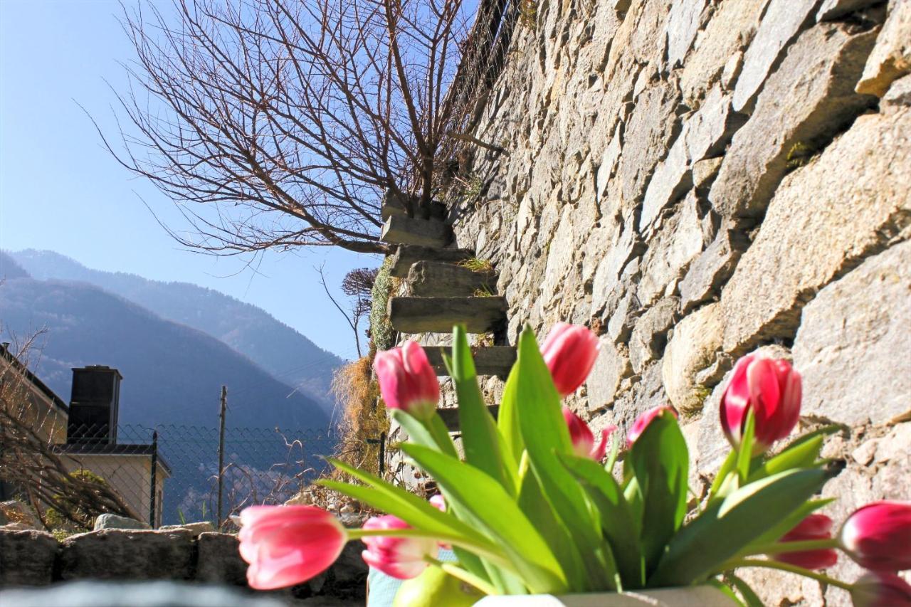 Casa Gialla Russo Dış mekan fotoğraf
